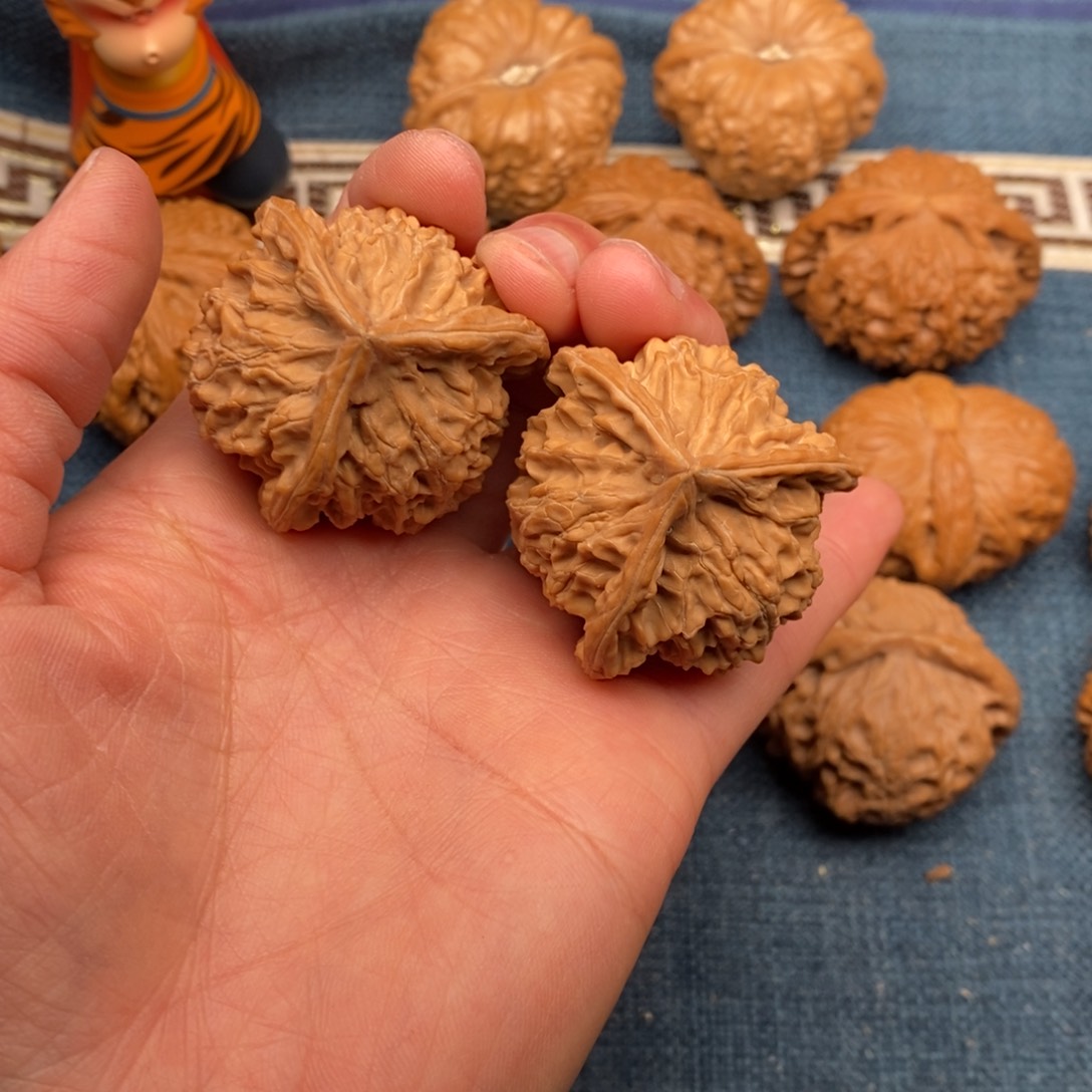 文玩核桃把件40全品毕业正奔