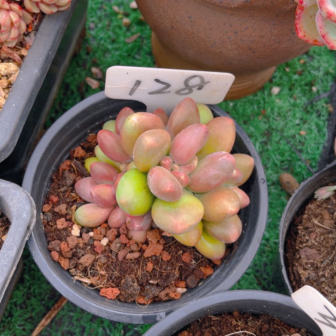 ?*歌128fghjjjjkjjkkjj