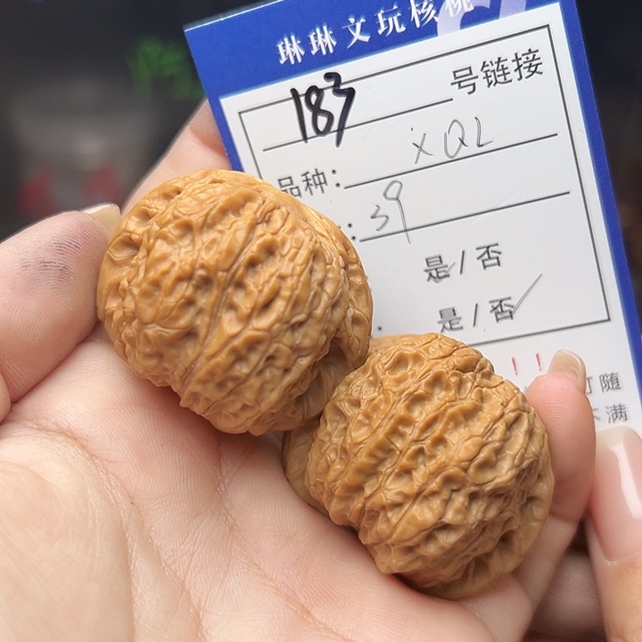 文玩核桃吊坠核桃树183