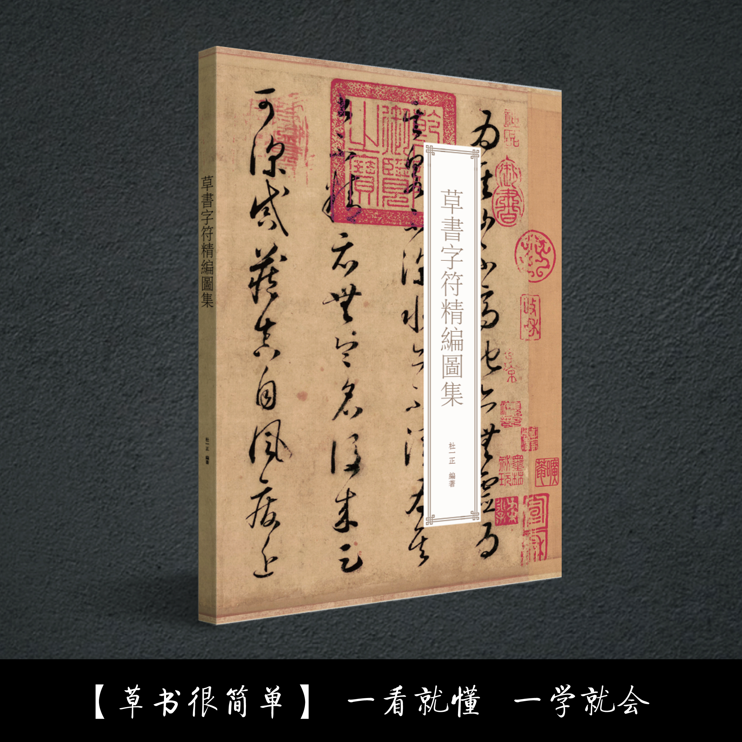 草书从入门到精通【草书字符精编图集】首创历代名家集字示例