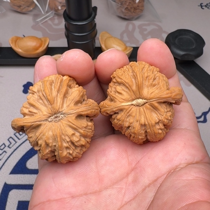 桃核吊坠山地白狮子41+尺5