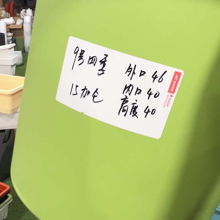 特价9号口46高40果绿带托3只
