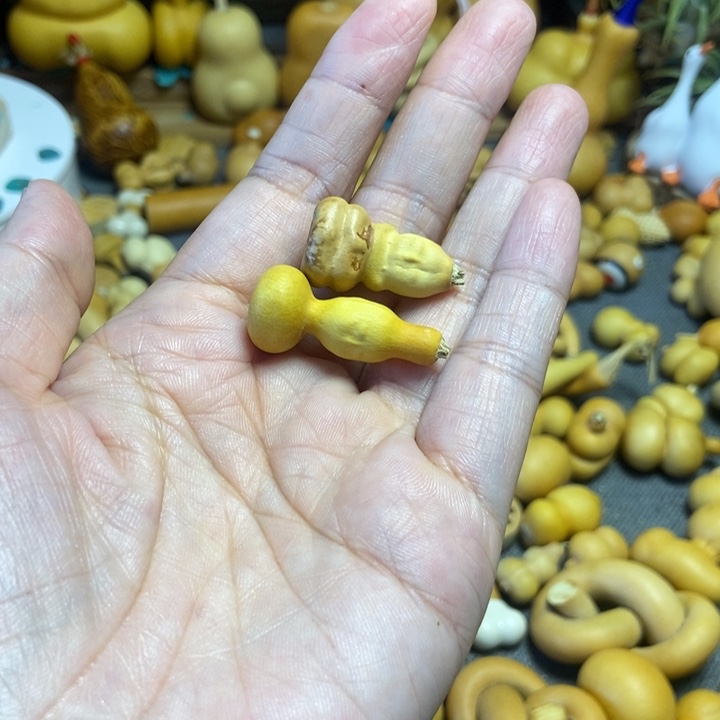 【闪购商品】欣*猪有伤双面佛111不退换