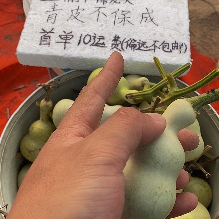 @****?哈哈哈哈哈哈恍恍惚惚