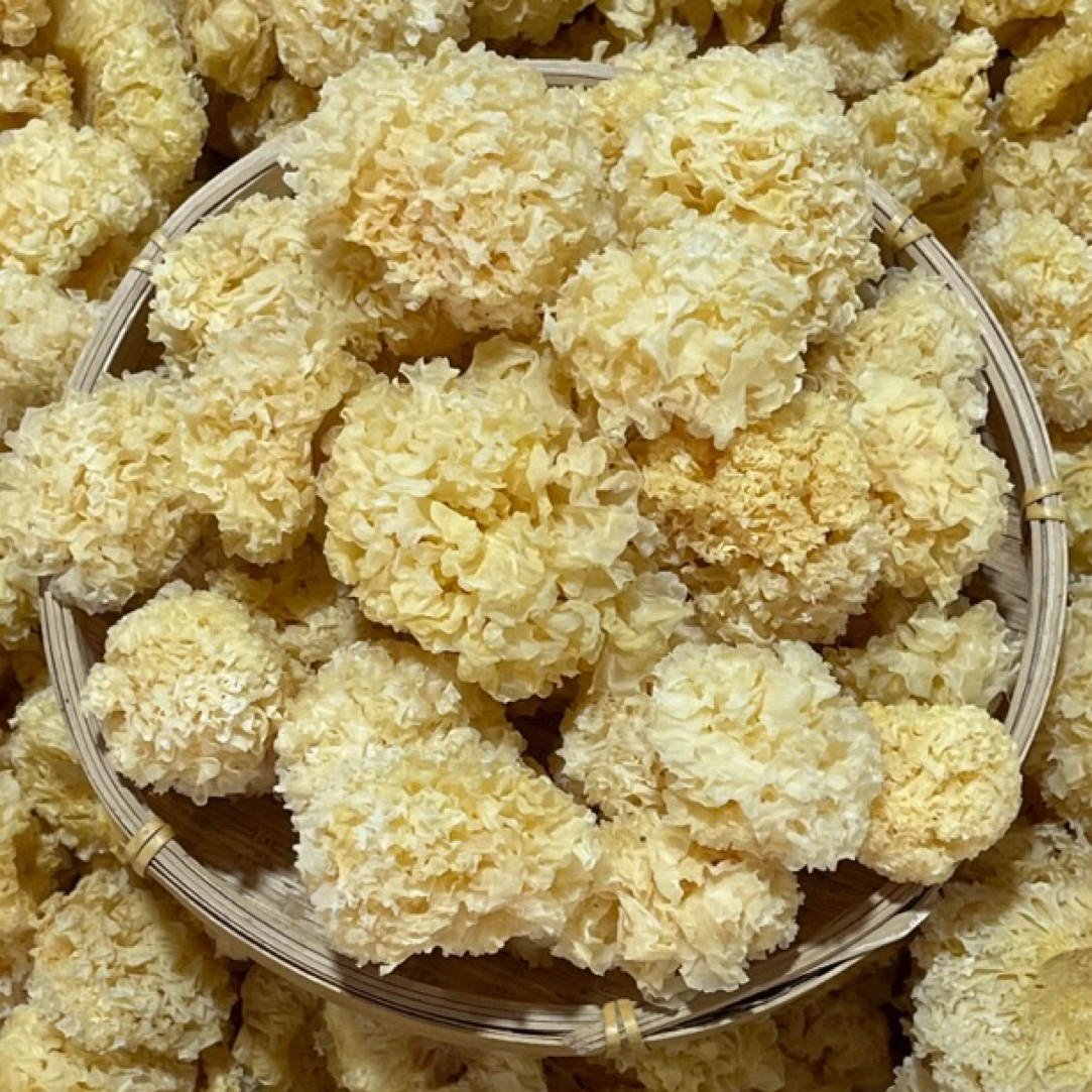 【宝老师福利】原色小银耳