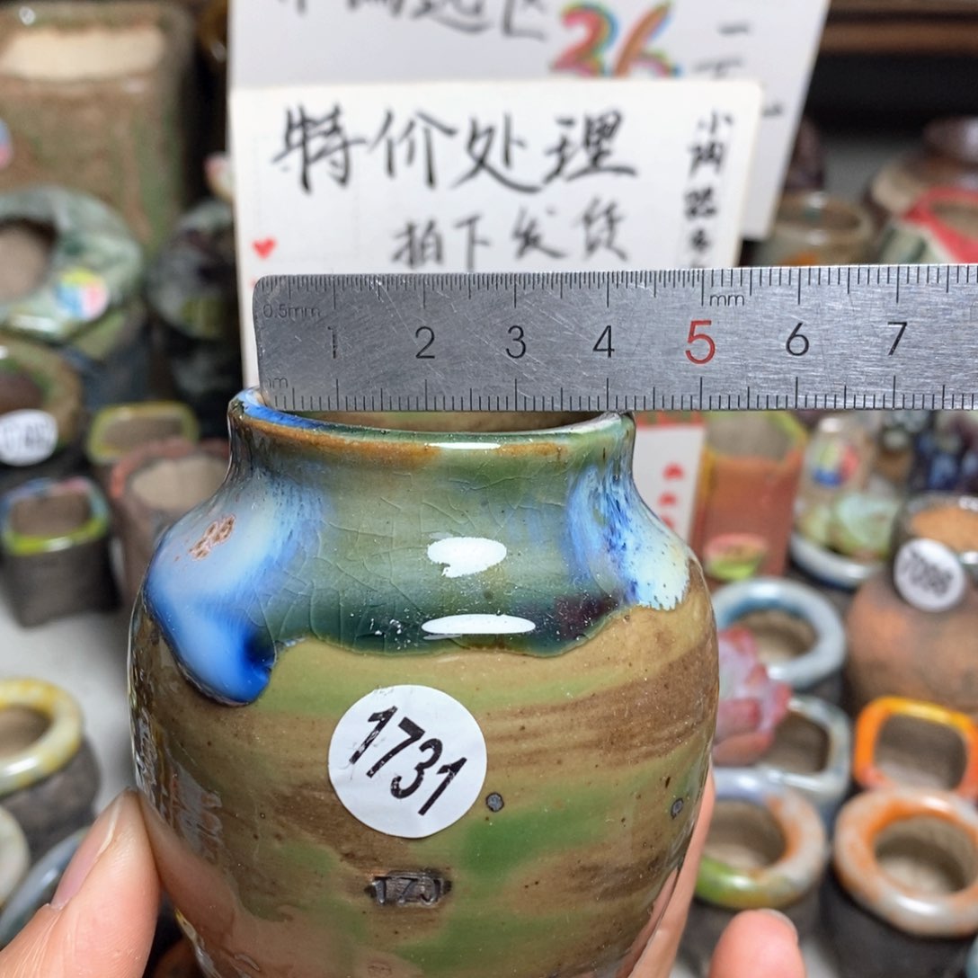 花盆特价处理的不退不换原价28元