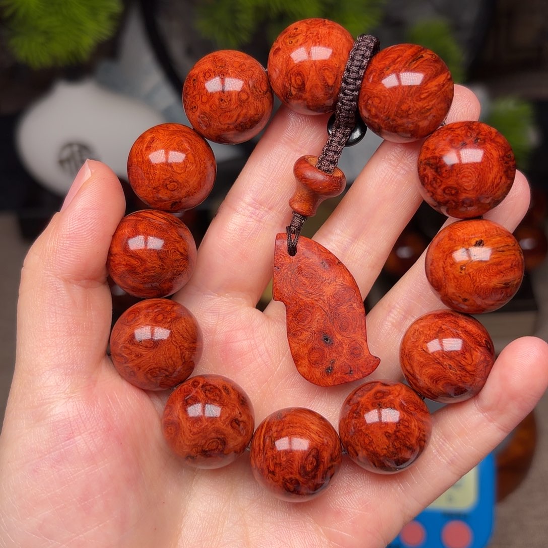 黄花梨/降香黄檀任