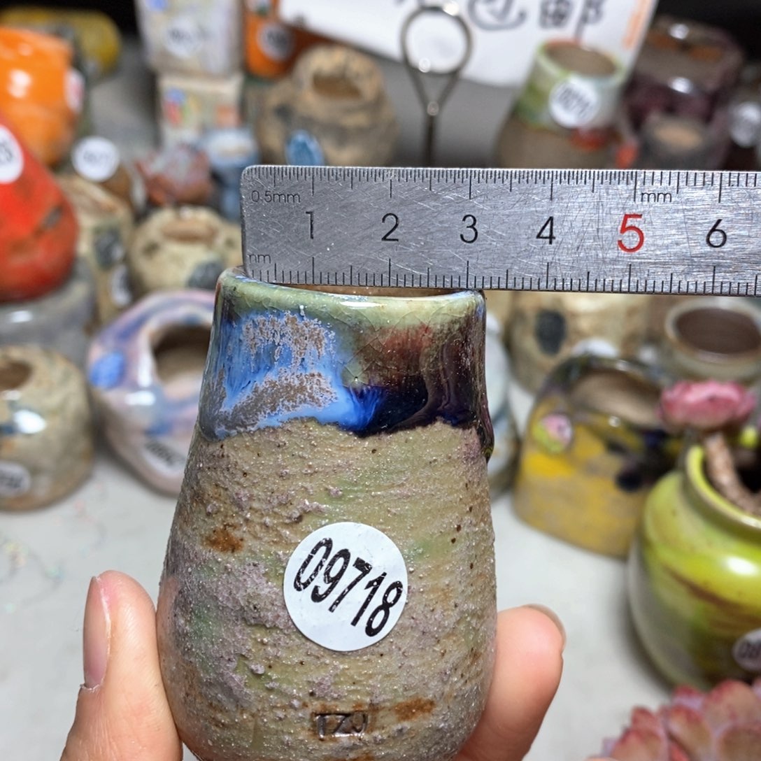 花盆拍5送一个小礼物