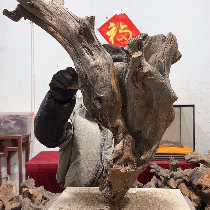 柏木是***为我们的生活也