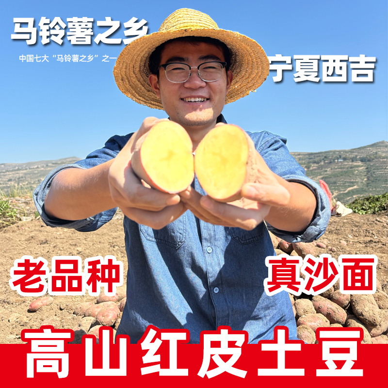 2025现挖新鲜宁夏西吉红皮土豆黄心沙面马铃薯洋芋包邮