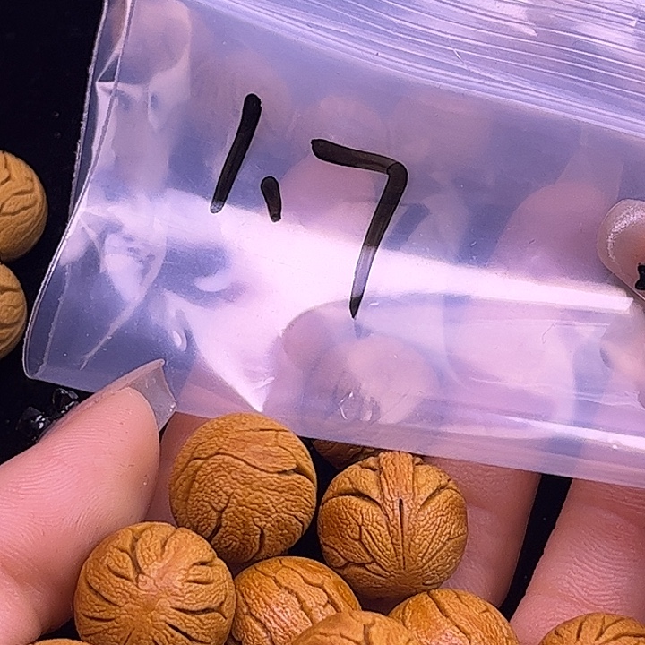 桃核吊坠博雅桃核