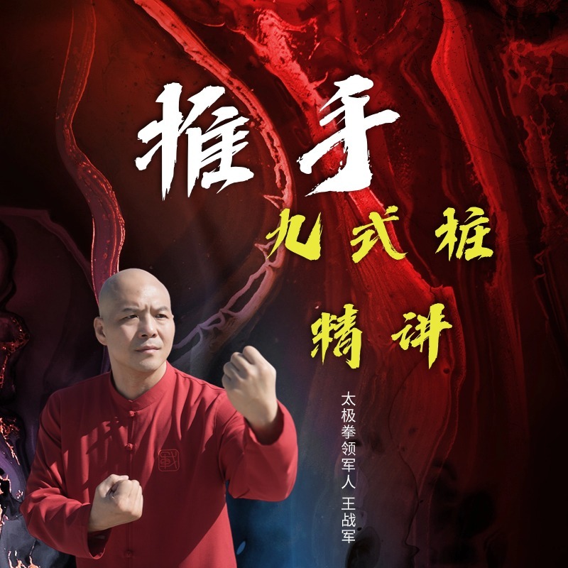 推手入门九式桩精讲