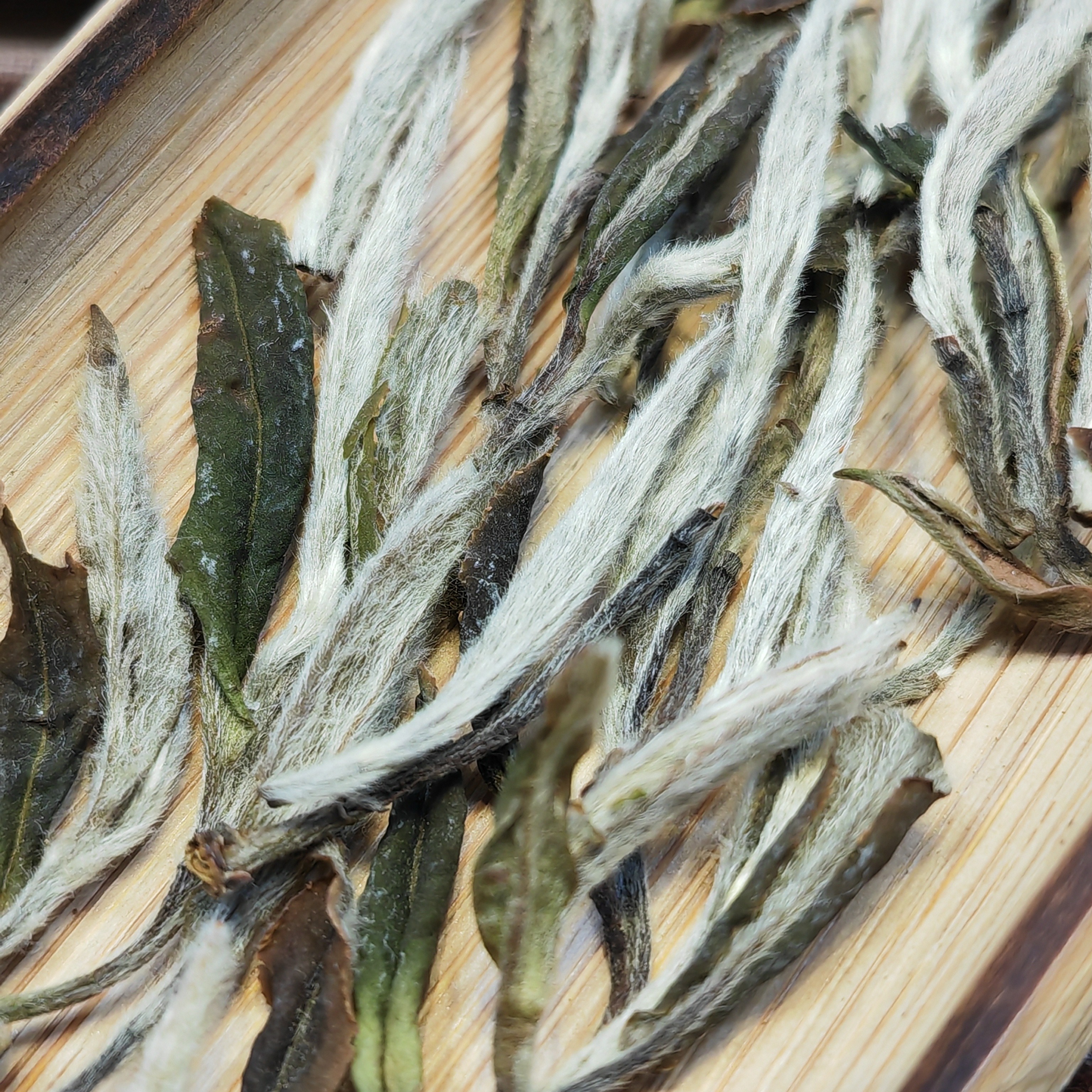 大荒茶业｜每月福利日