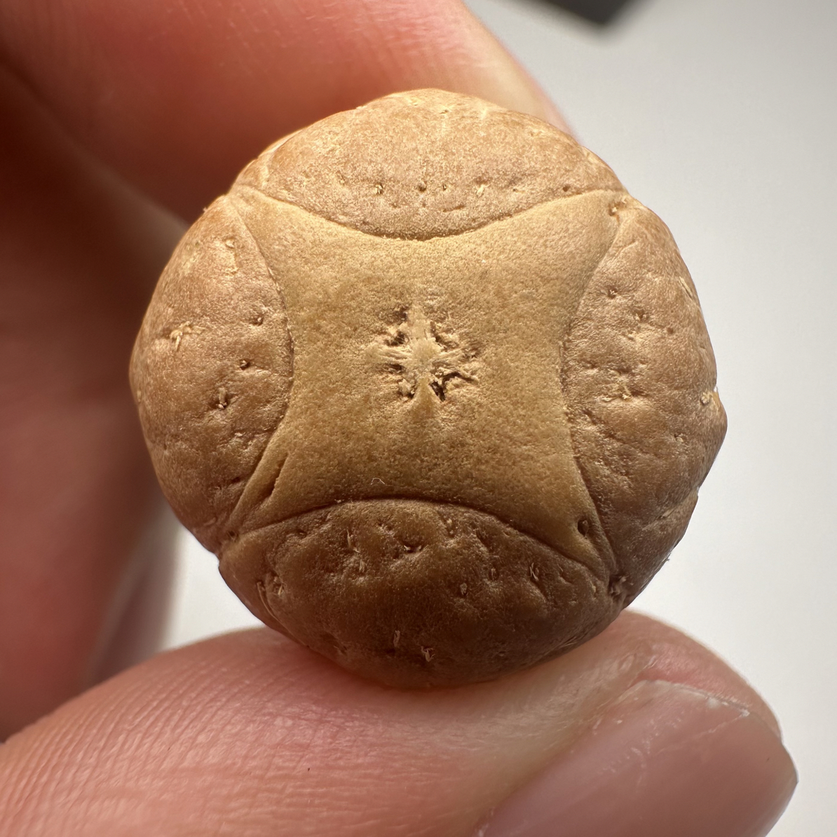 尼泊尔麒麟眼菩提，尺寸18，福利系列