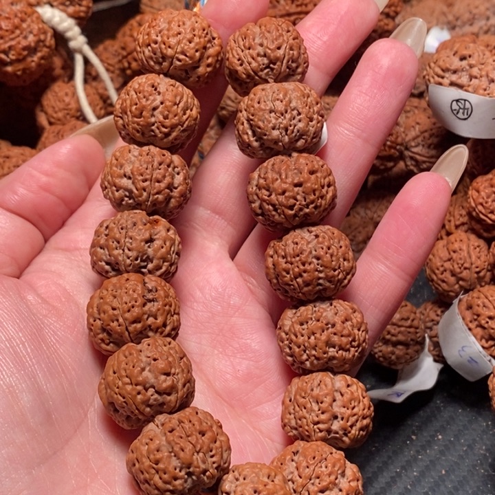 金刚菩提手串五星蜂王105