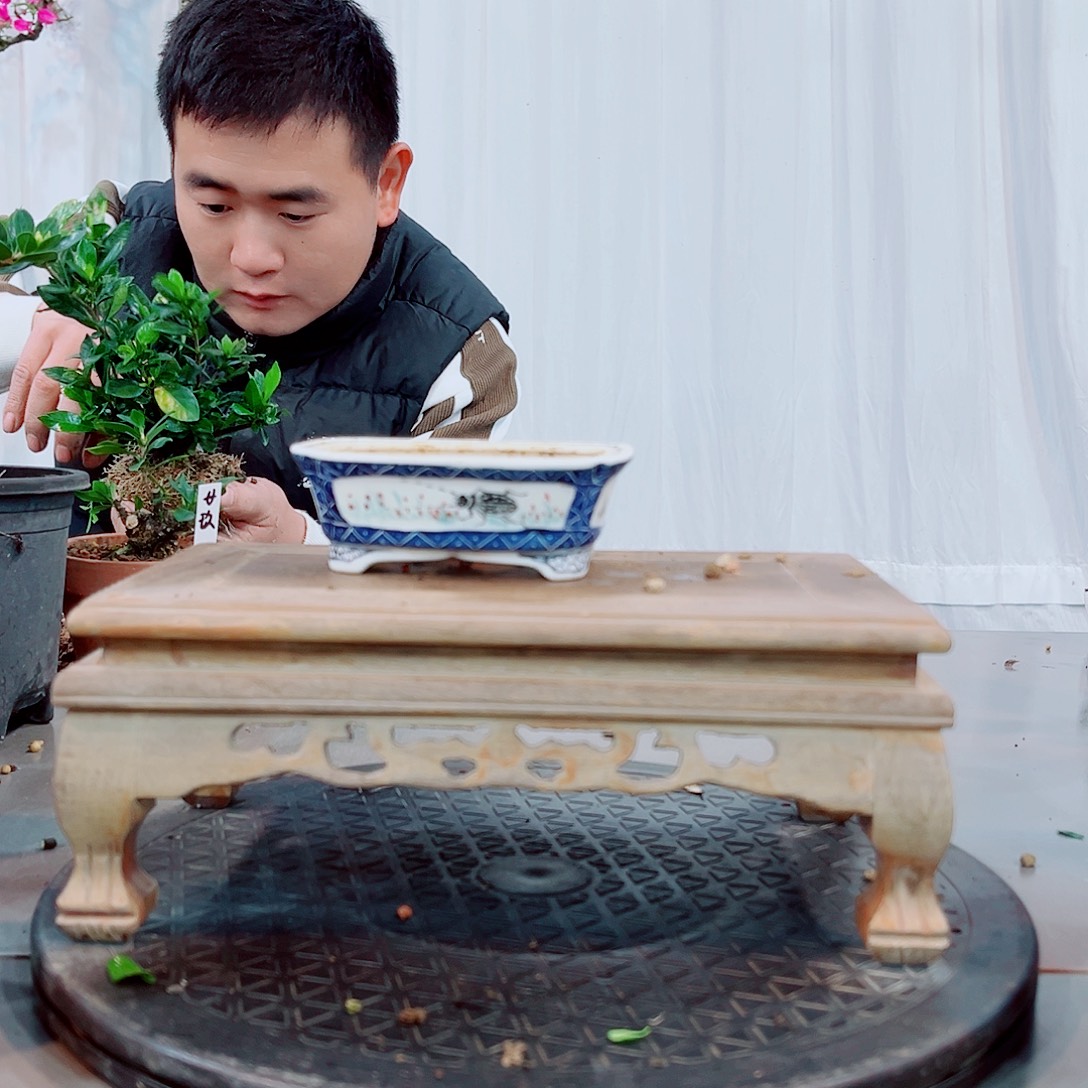 C***X陈贞手绘盆器器器
