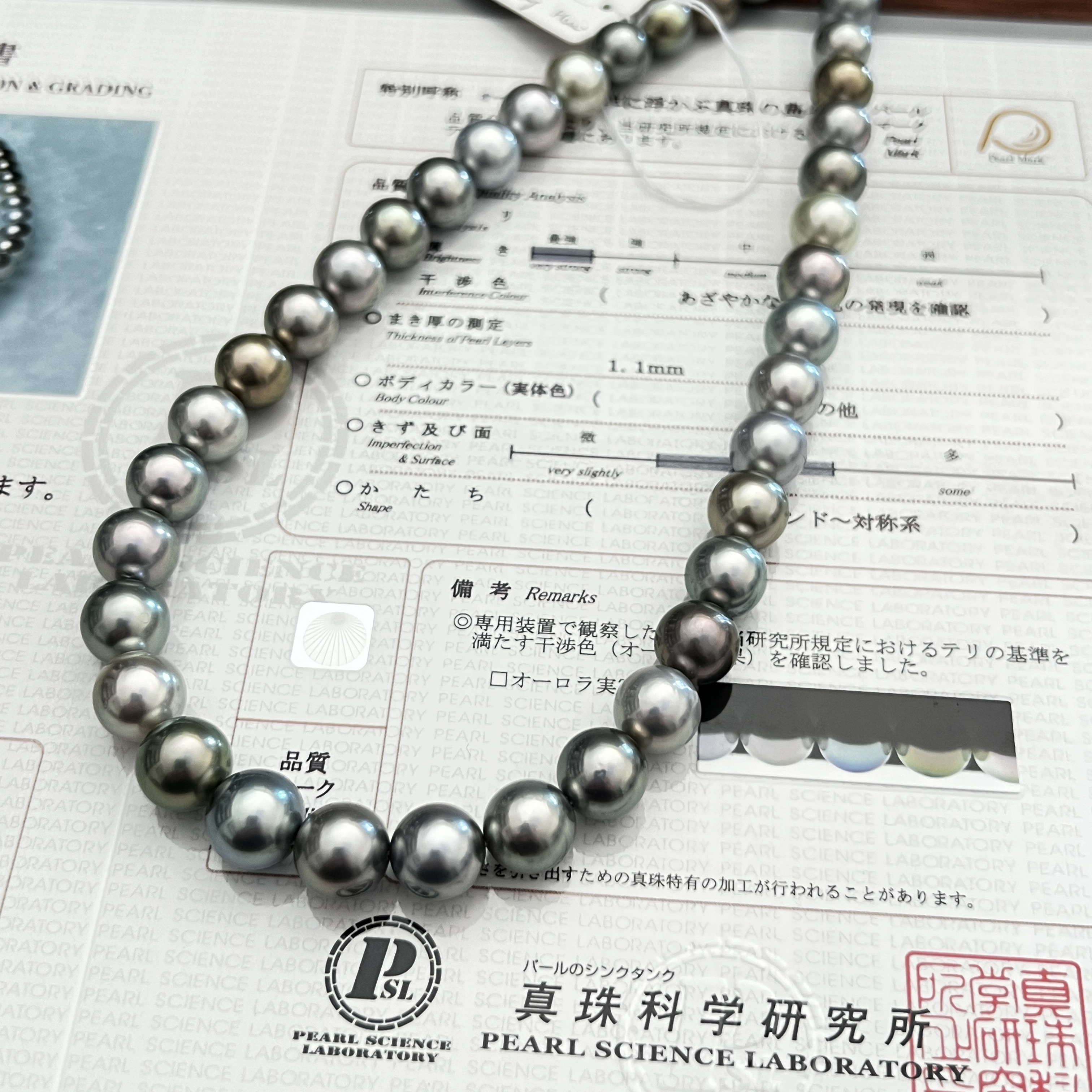 [SK]真科研极光莫兰迪浅色系海水大溪地珍珠项链（多样性发1条）