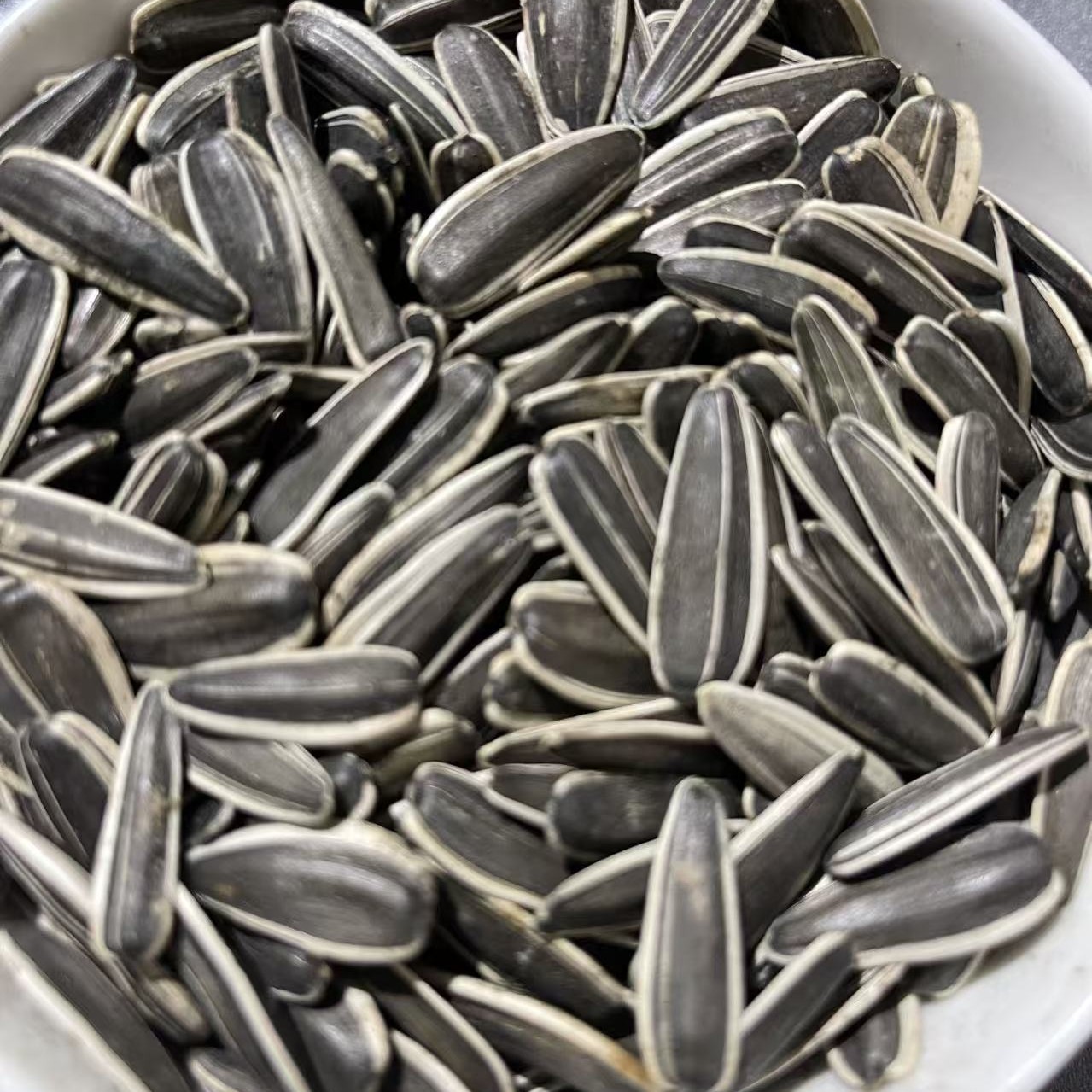 内蒙古中颗粒五香瓜子