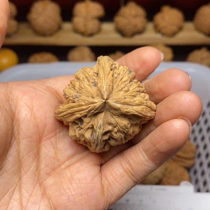 二***鹏把件文玩核桃文玩