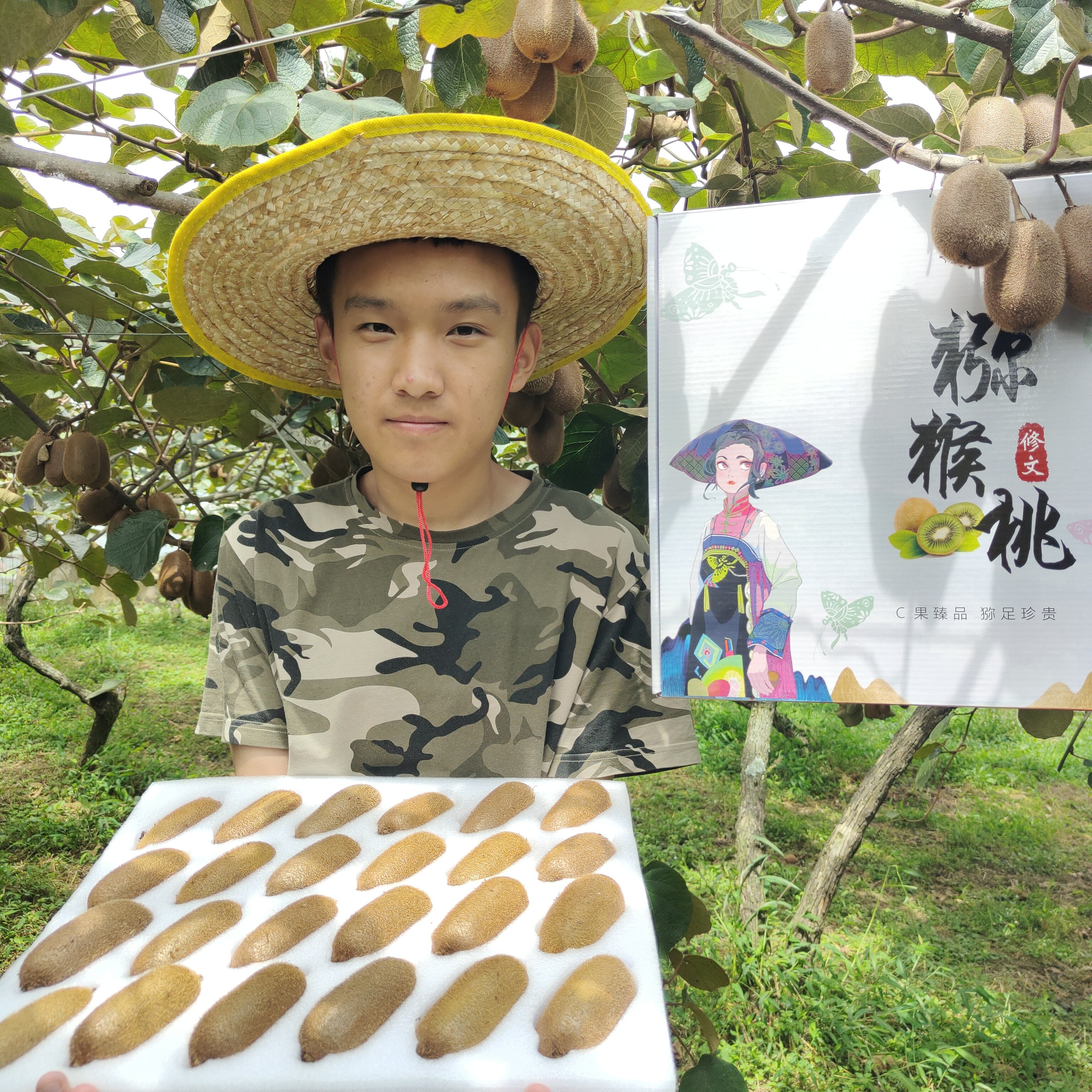 贵州正宗修文贵长绿心猕猴桃新鲜孕妇应季水果香甜多汁果园自然熟