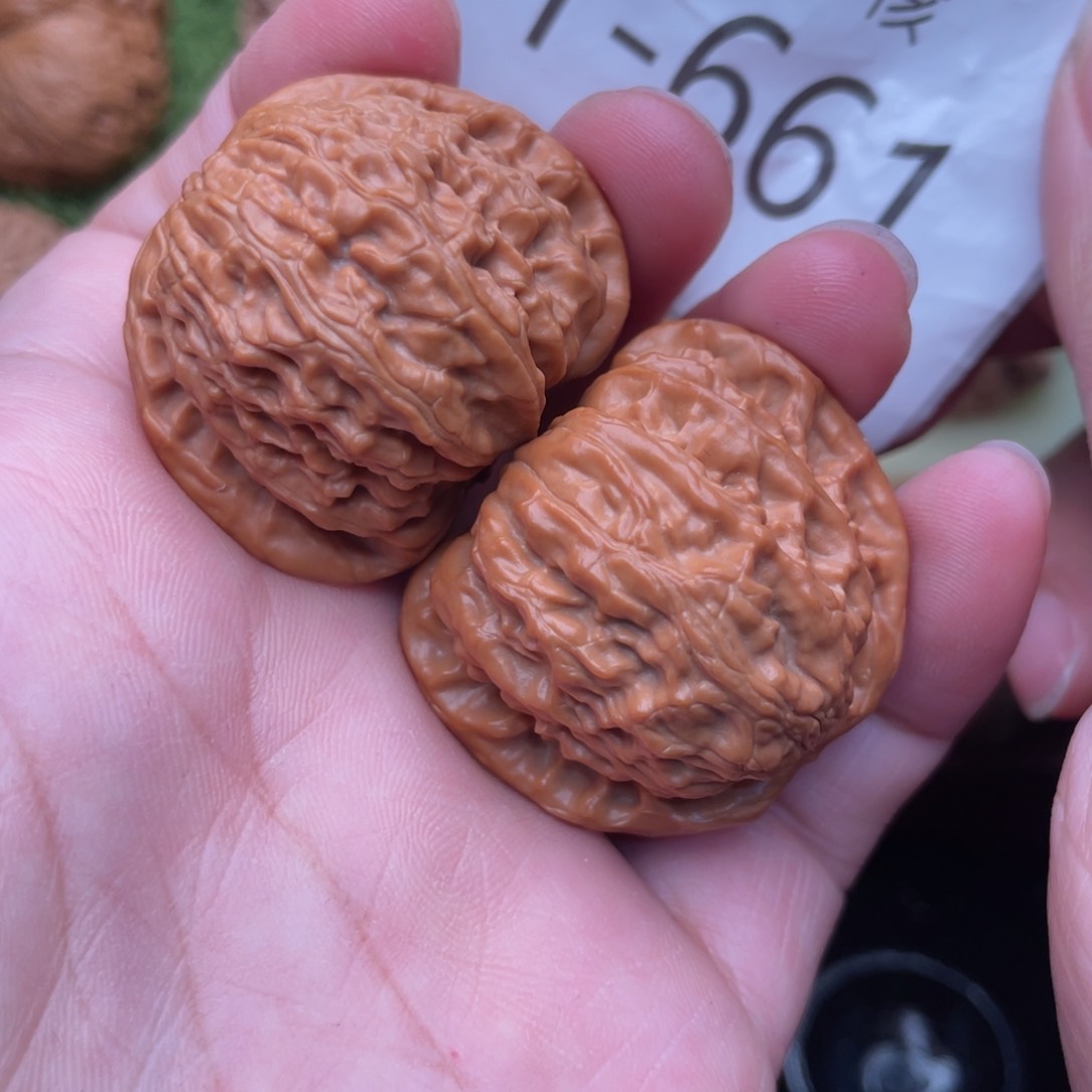 文玩核桃把件白狮子37