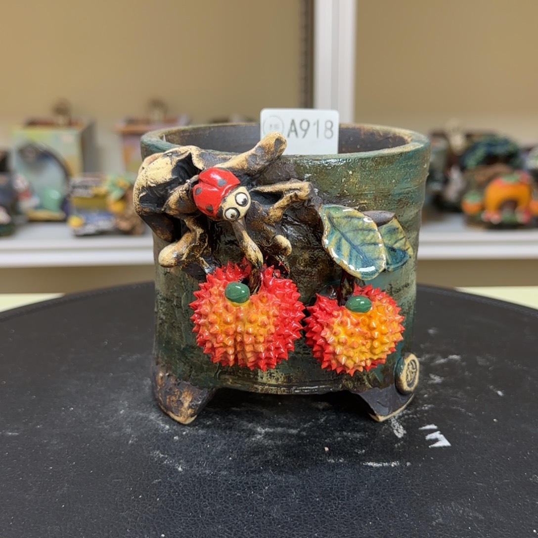 A918 【闪购】多肉花盆