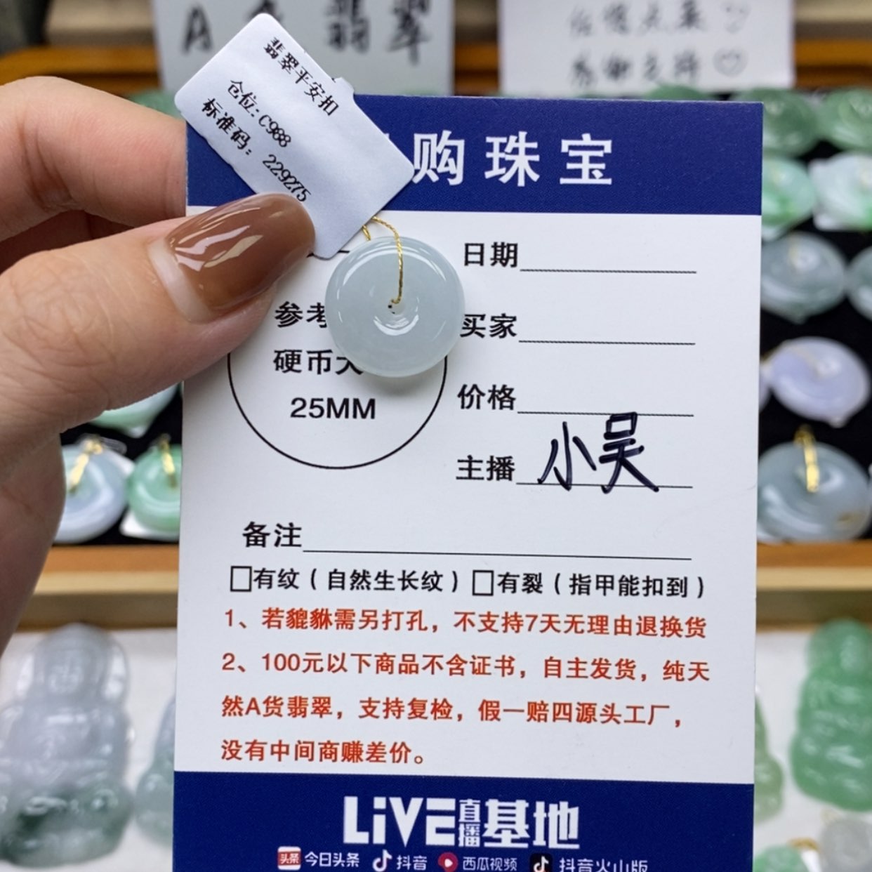 【闪购商品】翡翠未镶嵌颈饰平安扣