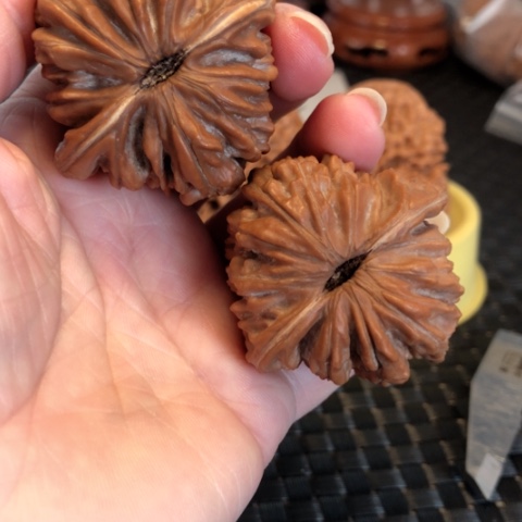 文玩核桃吊坠4号43尺全品