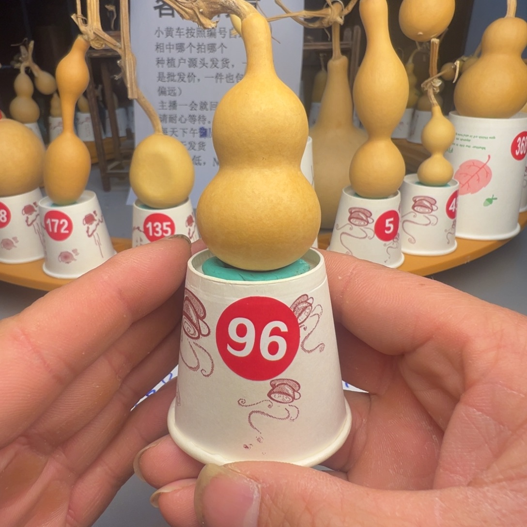 闪电购自助下单编号96