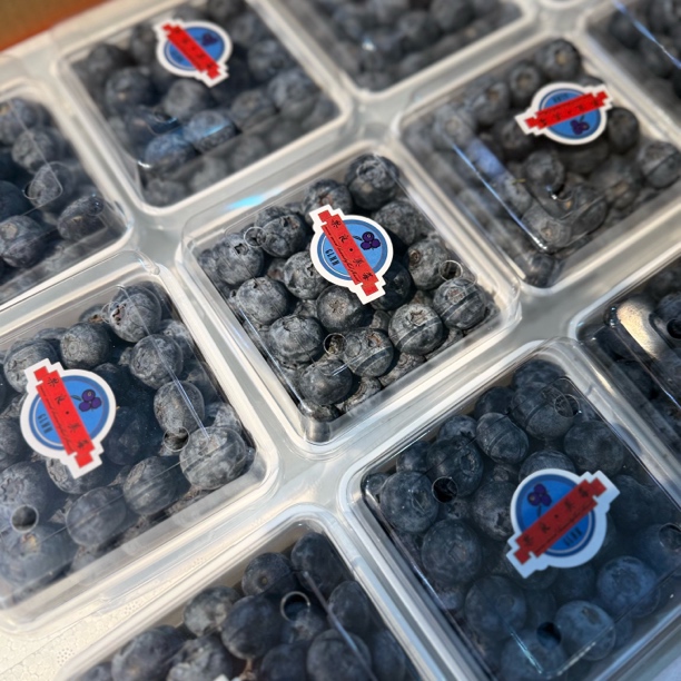 中盒大蓝莓