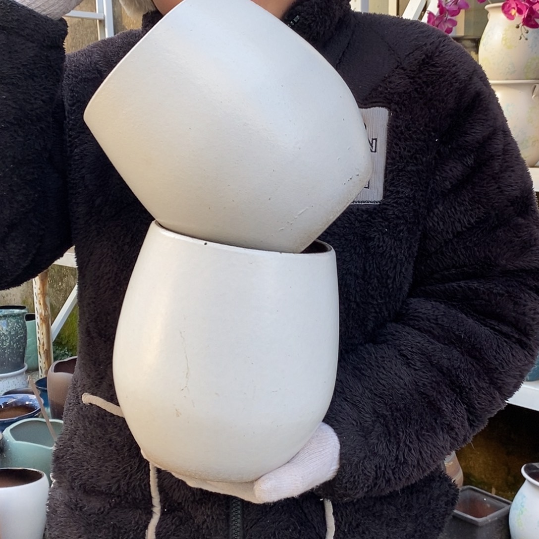 花盆紫砂口16高20福利俩个