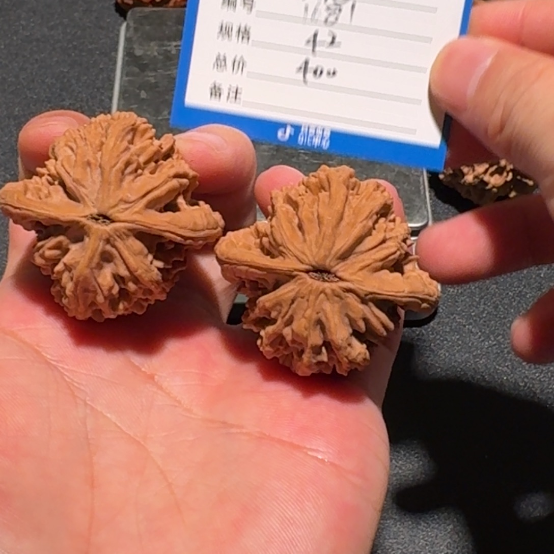 许***念虎头编号1681精品