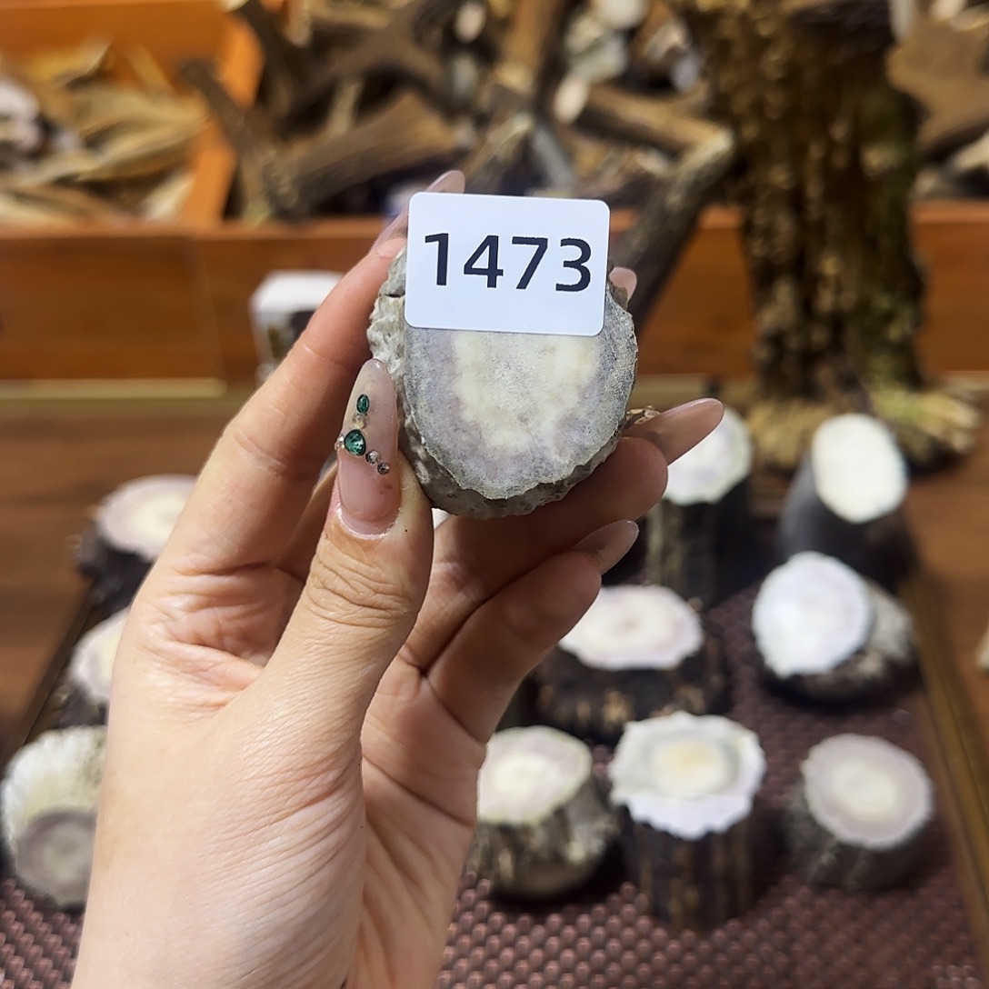 鹿骨手串/手链1473角帽