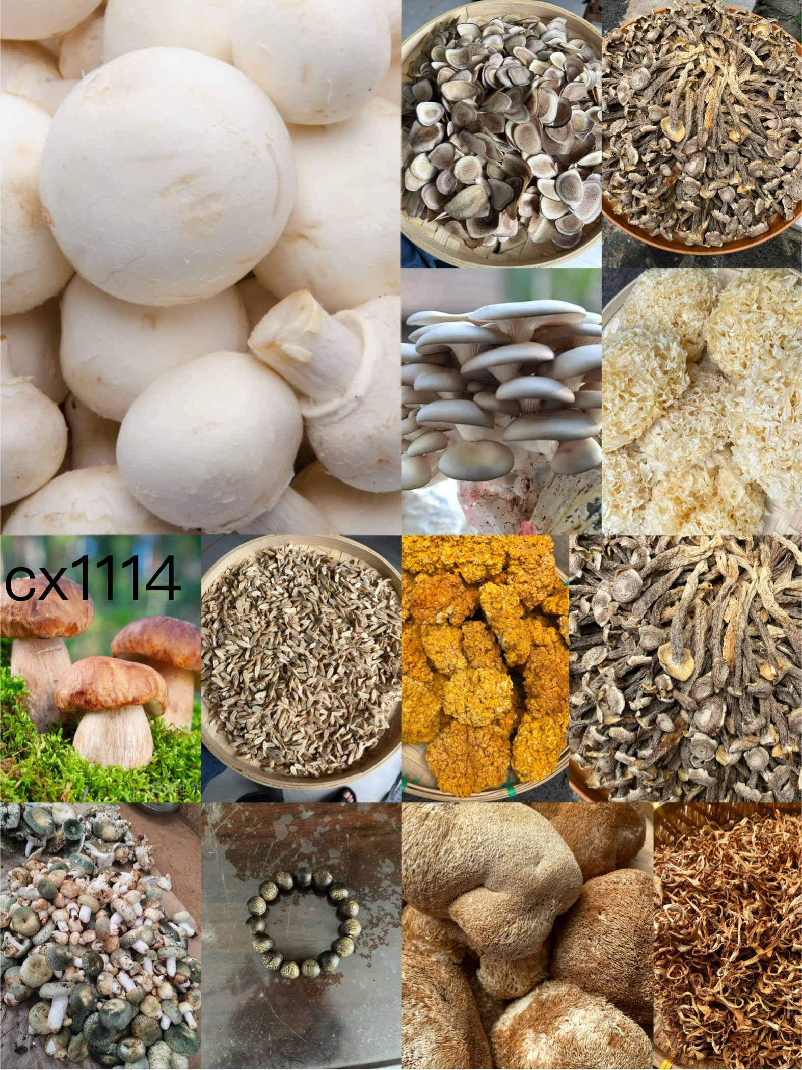 《阿浩专用土特产cx1114》多样性发货 重量14克左右