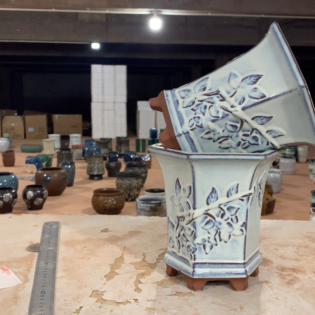 花盆啦啦快来啦啦啦啦啦啦啦啦