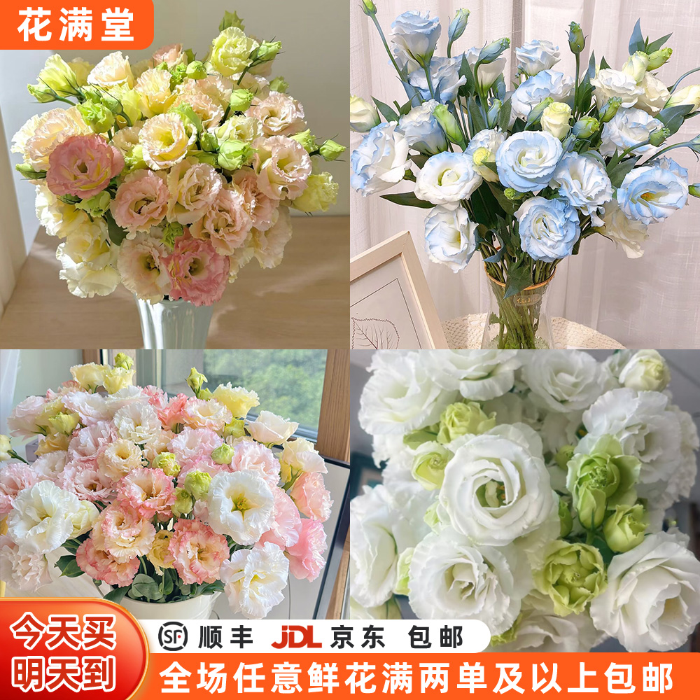 【次日达·桔梗·碎冰蓝·粉色·香槟色·白色】8-10枝多头·颜色随机生活鲜花·任意两单鲜花顺丰京东包邮基地直发