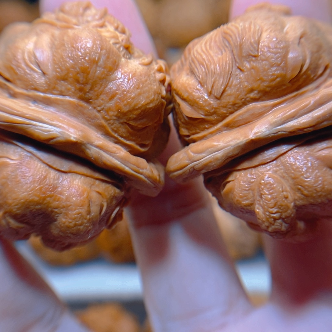 文玩核桃把件纯手工雕刻金蟾