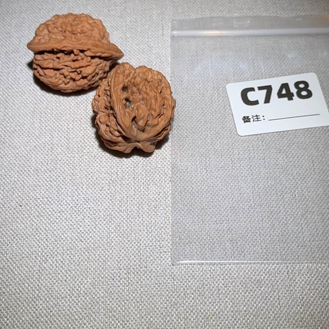 文玩核桃吊坠蚂蚁王748