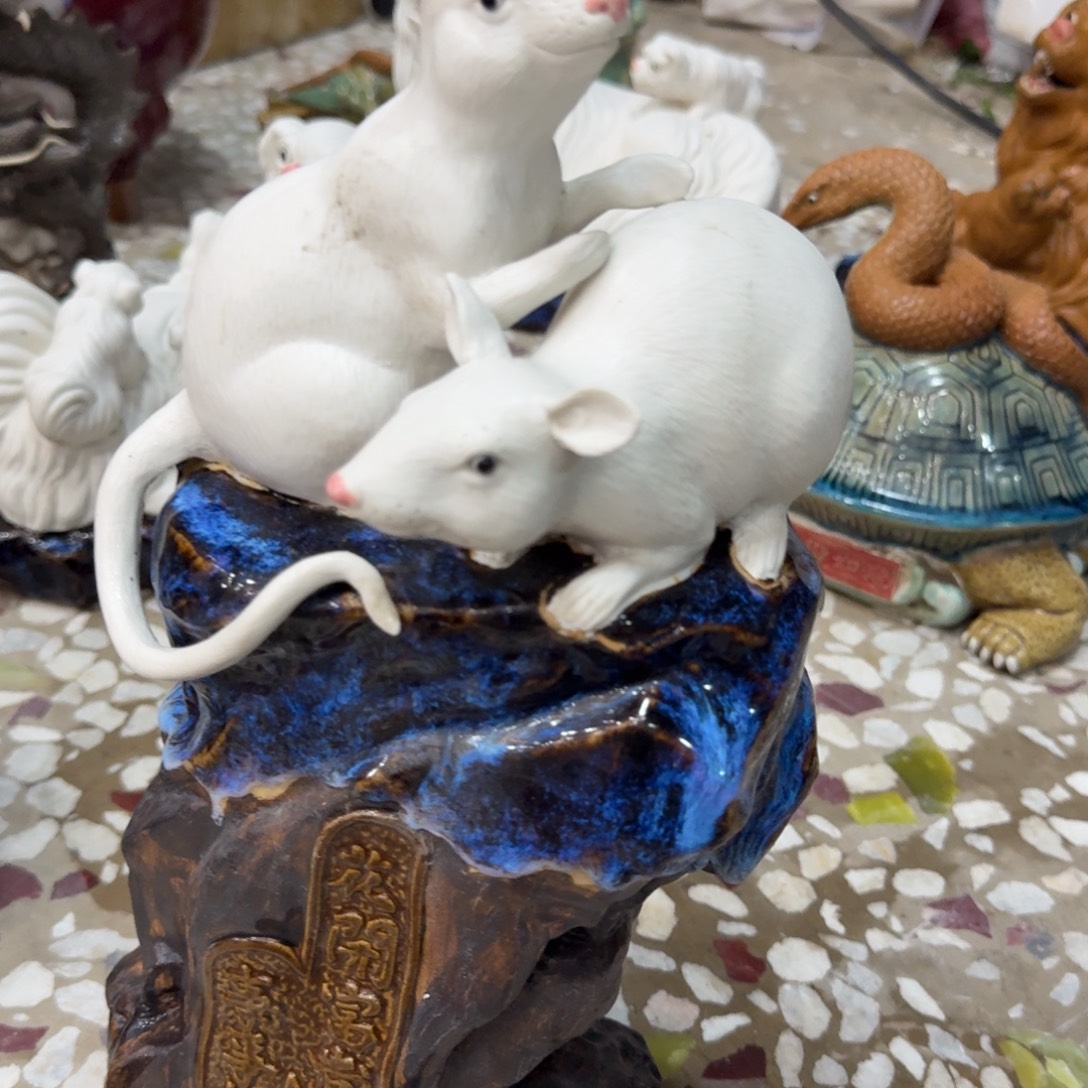 景***花这样一位来自英国牛津和伦敦