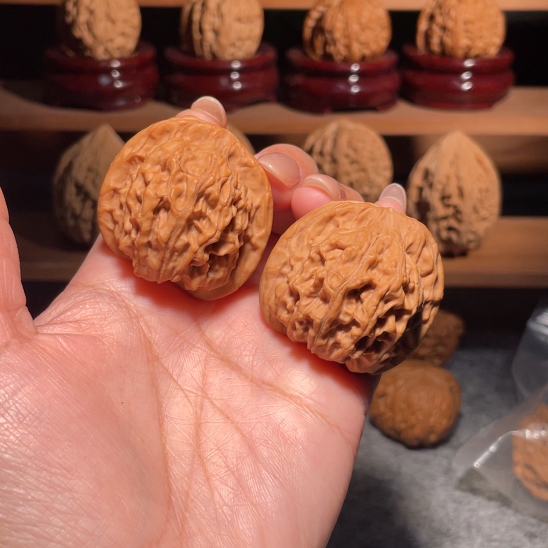 正圆天地全品天津37