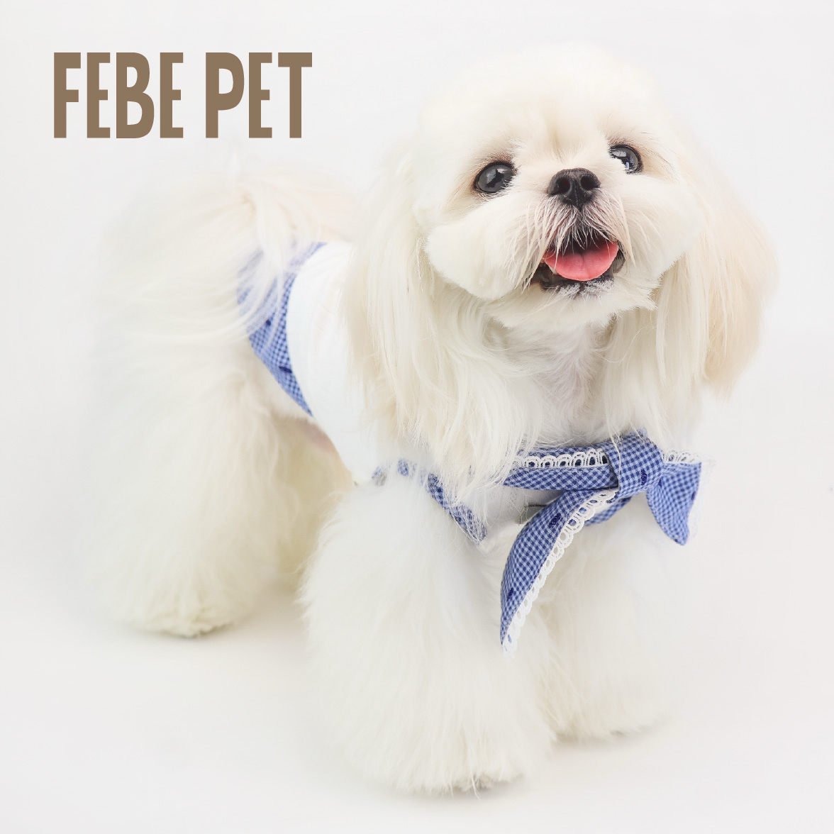 宠物衣服小中型犬马尔济斯比熊夏季韩版甜美领结套装