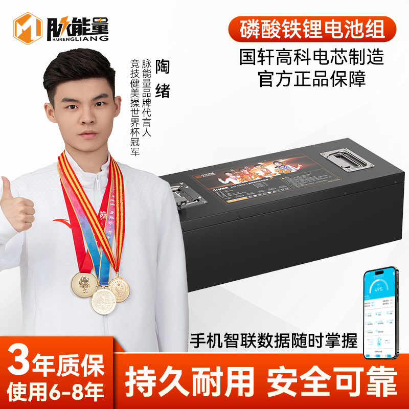 国轩高科脉能量60伏72伏100安磷酸铁锂大单体两三轮电动车带蓝牙