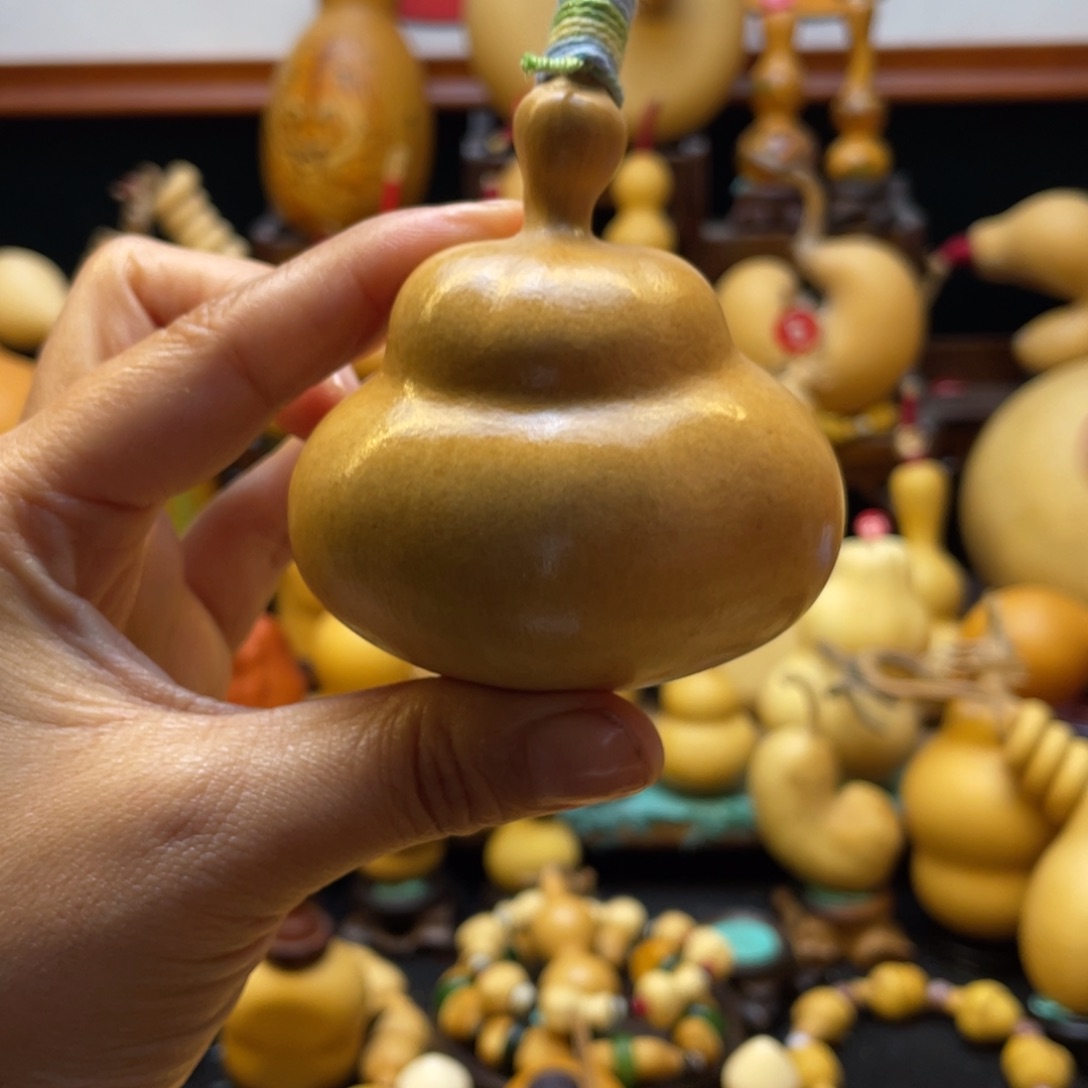 文**菲大自然的秘密第十一节的秘密