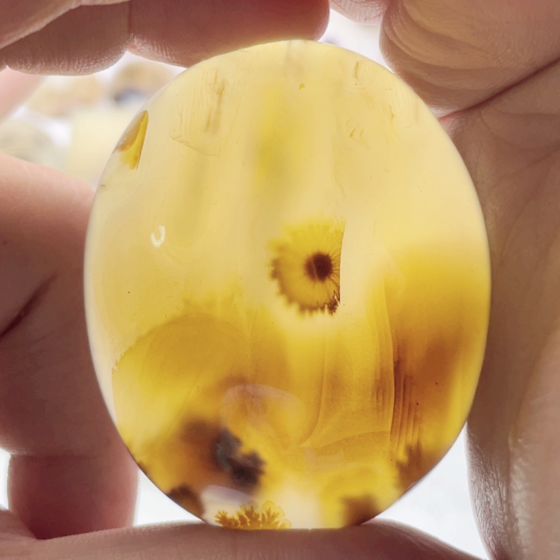 合金颈饰玛瑙/玉髓