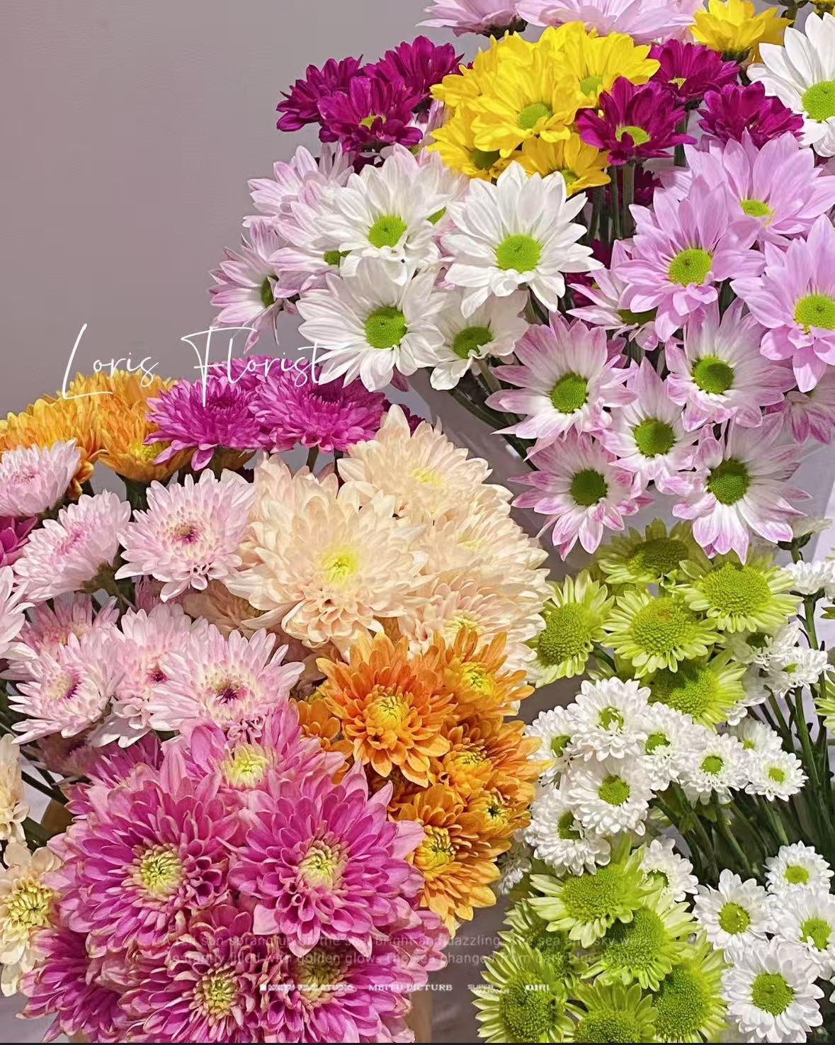 【混色小雏菊 】收到花需醒花~云南鲜花花农一手采摘直发