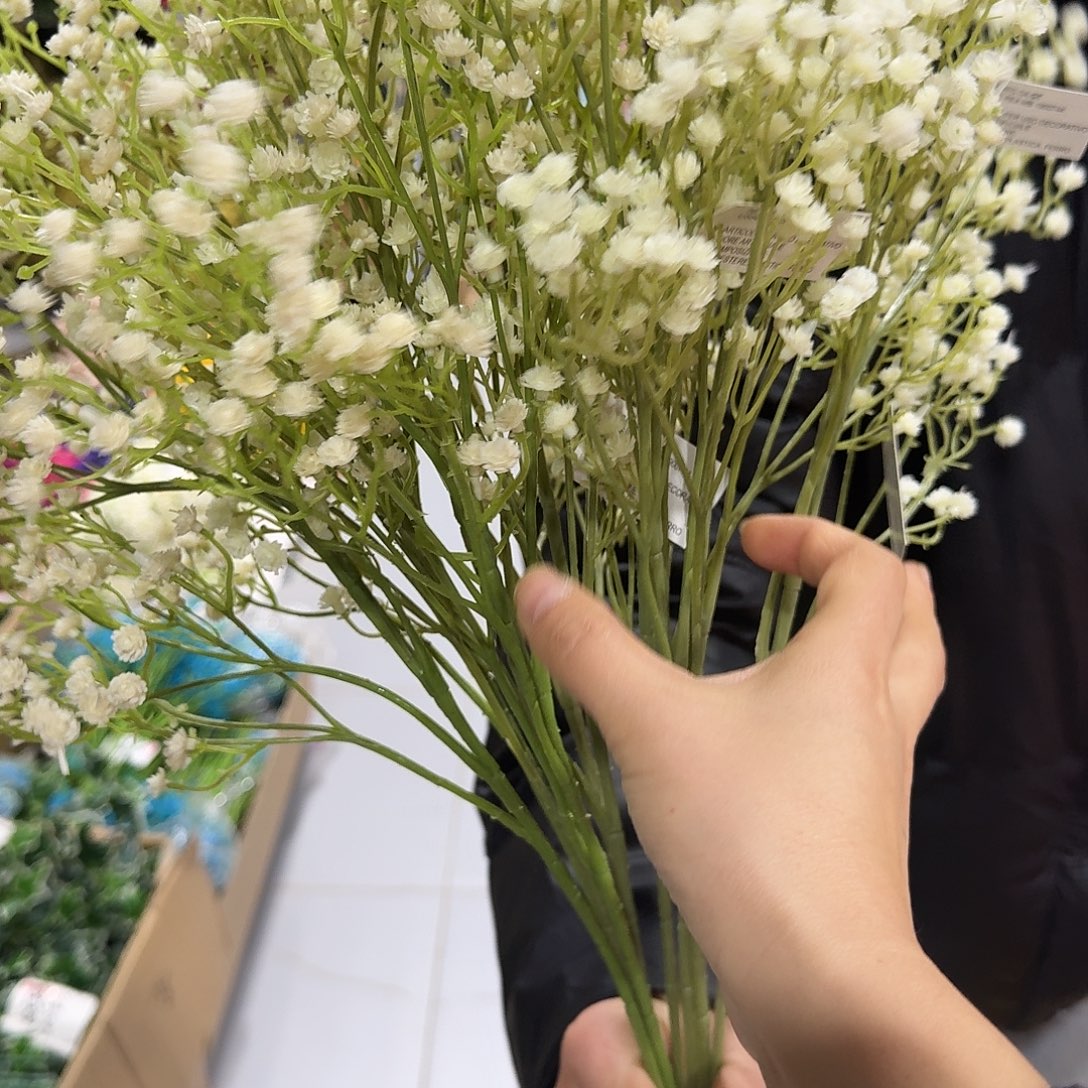 白色满天星10支装