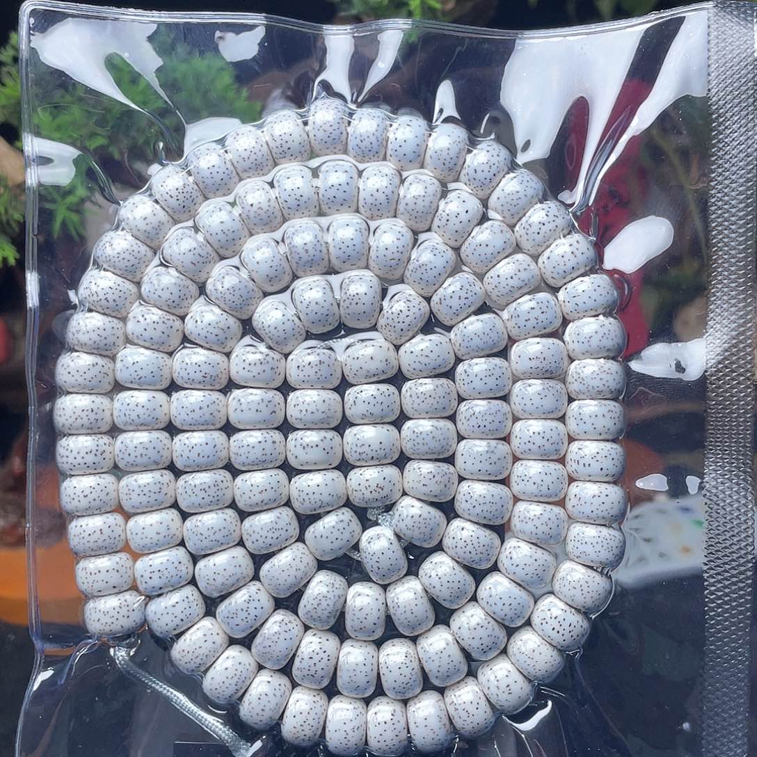 星月菩提吊坠全*星月菩提105