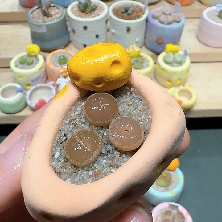 红陶蘑菇356和田