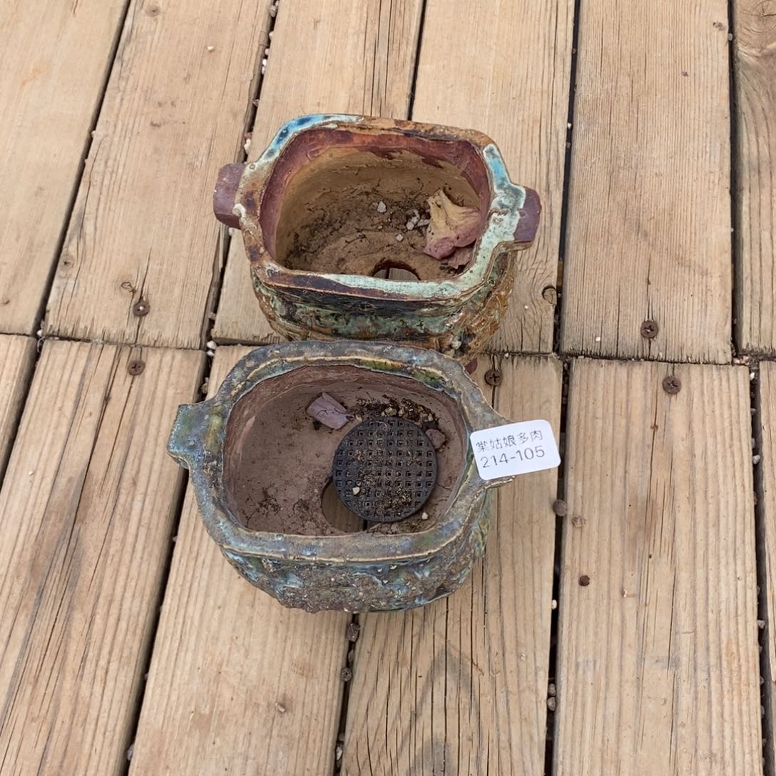 红陶一****》105号两个多肉盆组合