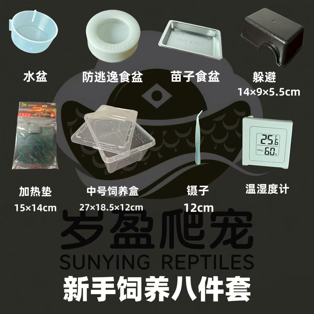 守宫新手饲养八件套